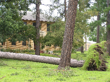 TxDOT's Lufkin District office complex after Hurricane Ike. (Photo by Kathi White, Texas Department of Transportation, September 14, 2008)